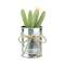7" Tropical Green Mini Faux Columnar Cactus in Silver Planter